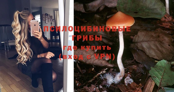 мескалин Зеленокумск