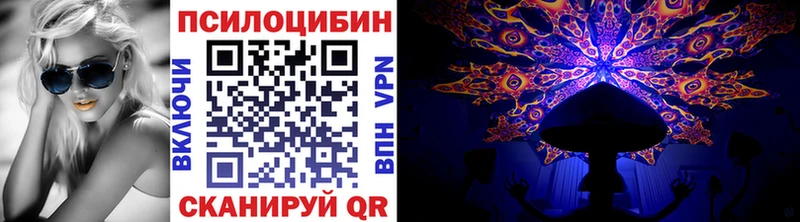 Купить  Лагань  Галлюциногенные грибы Psilocybe 